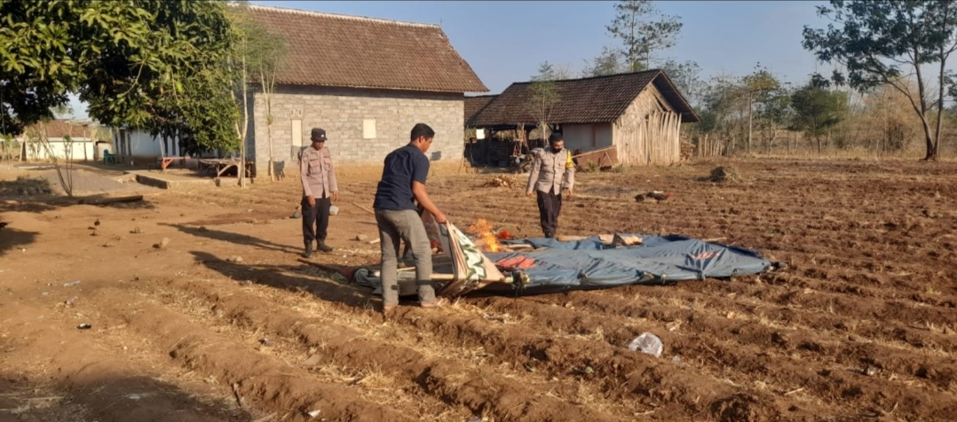 Respon Cepat Tanggapi Aduan Masyarakat, Polsek Wongsorejo Bongkar Arena Judi Sabung Ayam