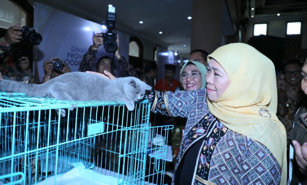 Gubernur Ajak Maksimalkan Kinerja & Pertahankan Jatim Lumbung Pangan Nasional