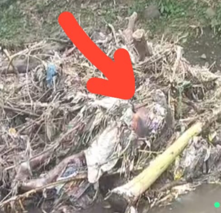 Enak-Enak Mancing di Sungai, Saikhu Nemu Mayat