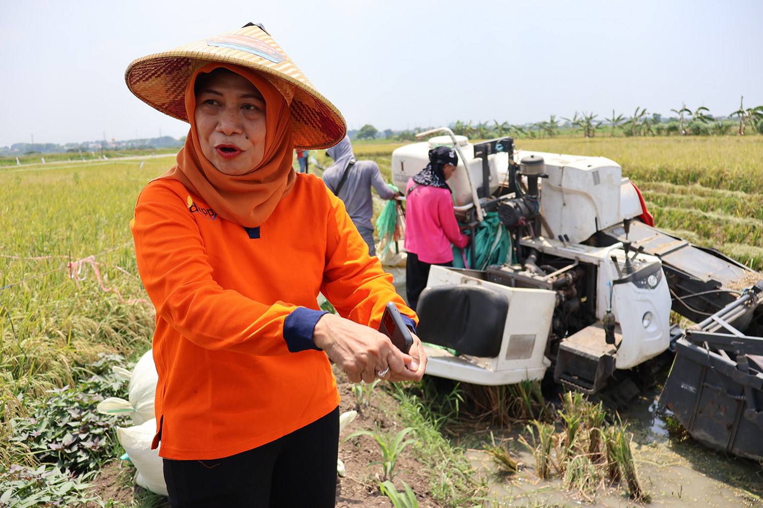 Pemkot Surabaya Panen Padi Bersama Poktan di Lahan Bekas Tanah Kas Desa