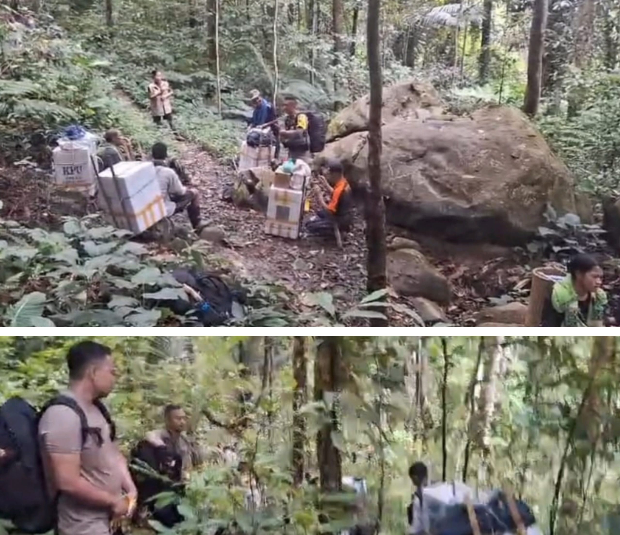 Di Banggai, Petugas Berjalan Melalui Hutan Antar Logistik Pemilu