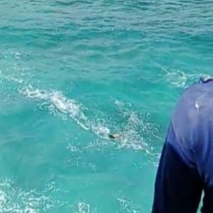 Terjadi di Pesisir Pacitan, Bapak Tewas Tenggelam Saat Menolong Anaknya ‘Dimakan’ Ombak