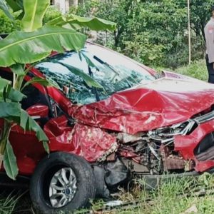Diduga Mengantuk, Mobil Masuk Parit Usai Tabrak Pohon di Ngawi
