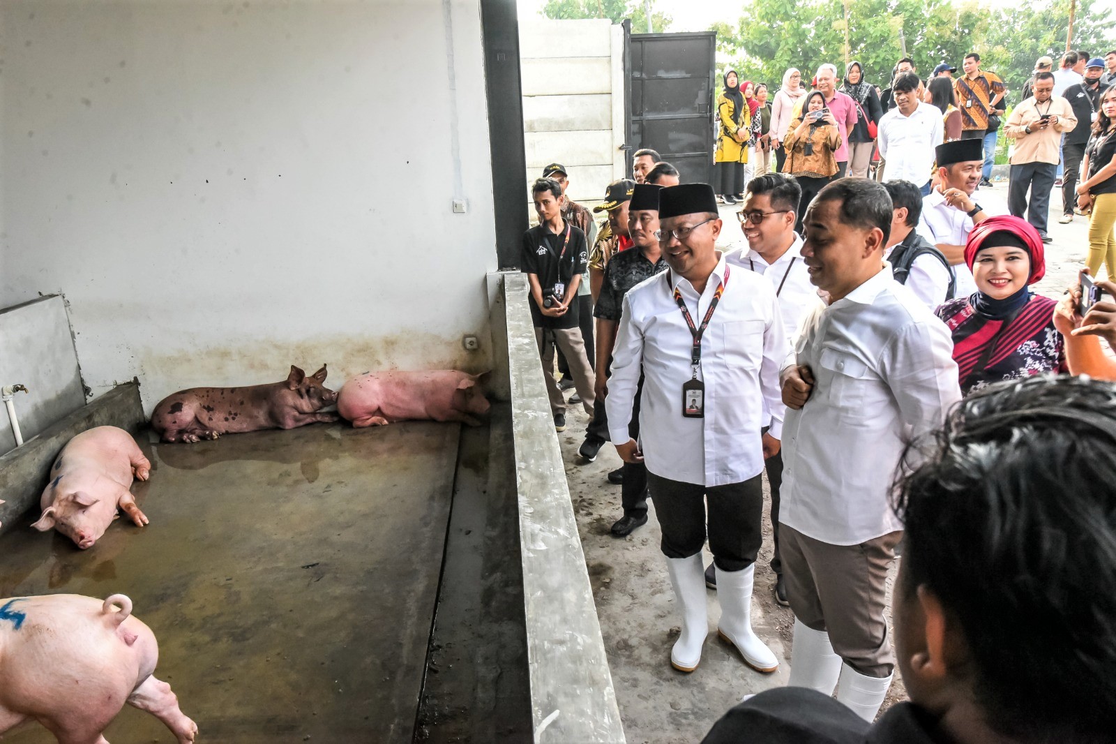 Setelah RPH Babi, Pemkot Surabaya Pastikan Relokasi RPH Sapi ke Tambak Osowilangun