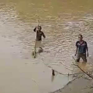 Jasad Didik Nugroho Ditemukan, Hanyut Sejauh 15 Km di Bengawan Madiun Jasad Didik Nugroho Ditemukan, Hanyut Sejauh 15 Km di Bengawan Madiun