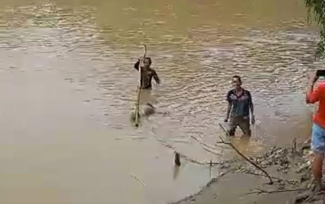 Jasad Didik Nugroho Ditemukan, Hanyut Sejauh 15 Km di Bengawan Madiun
