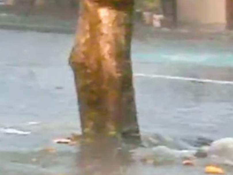 Akibat Hujan Deras, Beberapa Ruas Jalan Di Magetan Tergenang 