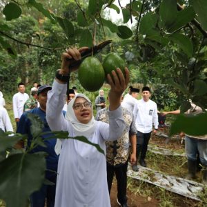 Serap Aspirasi dan Potensi, Bupati Banyuwangi Rela Ngantor di Desa