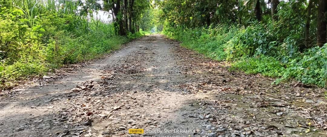 Belum Satu Tahun Dikerjakan Jalan Usaha Tani Di Desa Kentangan Sudah Rusak Parah