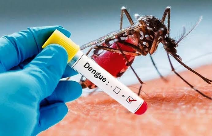 Waspada Risiko Penularan DBD di Kota Surabaya