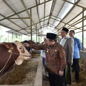 Pastikan Bebas PMK dan LSD, Pj Bupati Pasuruan Andriyanto Pantau Penjualan Hewan Qurban Pastikan Bebas PMK dan LSD, Pj Bupati Pasuruan Andriyanto Pantau Penjualan Hewan Qurban