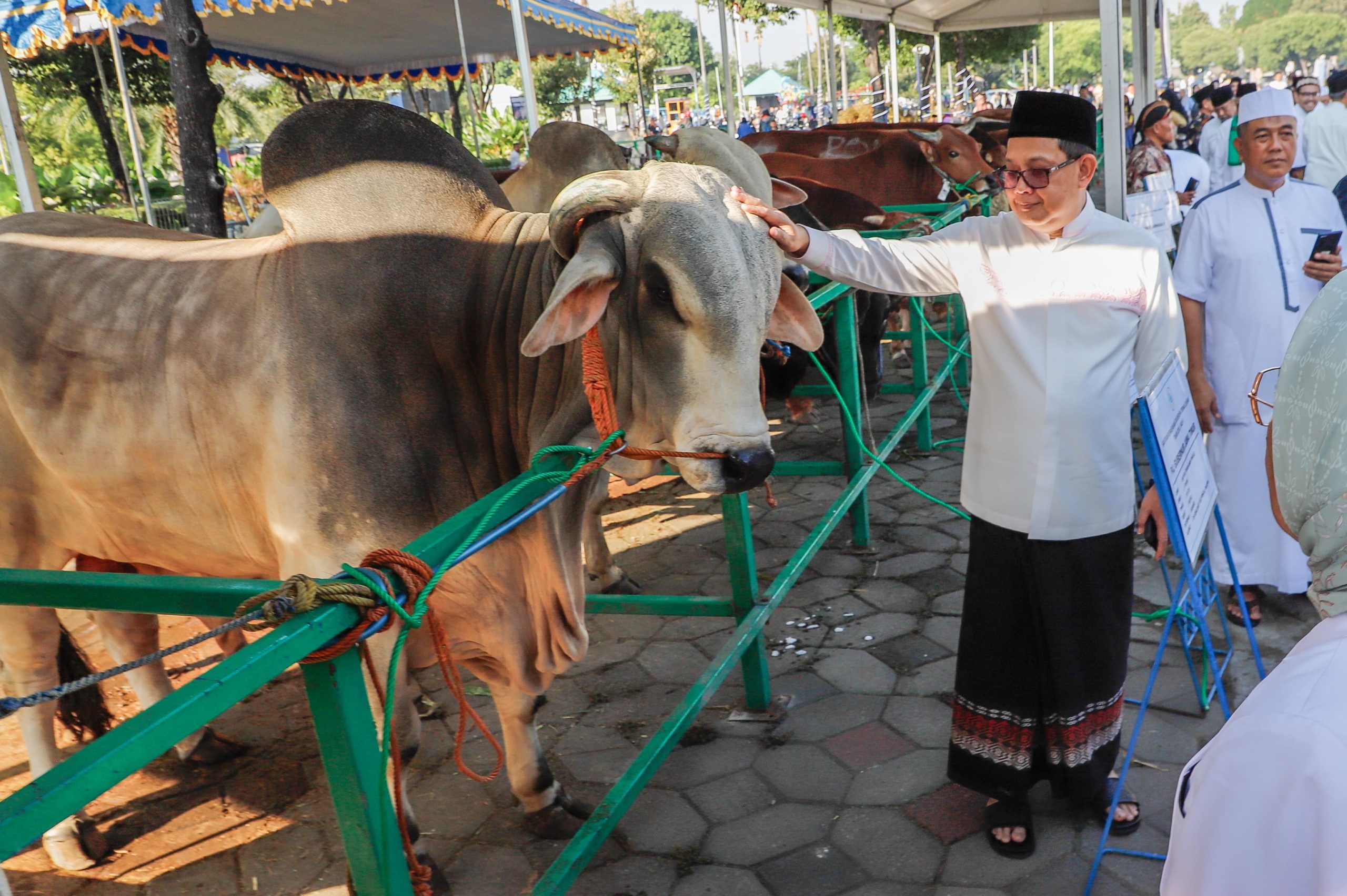 Jumlah Hewan Kurban Capai 434.843 Ekor, Indikasi Ekonomi Masyarakat Jatim Meningkat