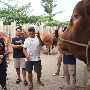 Jelang Idul Adha 1445 H, Bupati Kediri Siapkan 4 Sapi Limosin untuk Kurban Jelang Idul Adha 1445 H, Bupati Kediri Siapkan 4 Sapi Limosin untuk Kurban