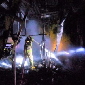 Kandang Terbakar, Ribuan Ekor Ayam Petelur Mati Terpanggang Kandang Terbakar, Ribuan Ekor Ayam Petelur Mati Terpanggang
