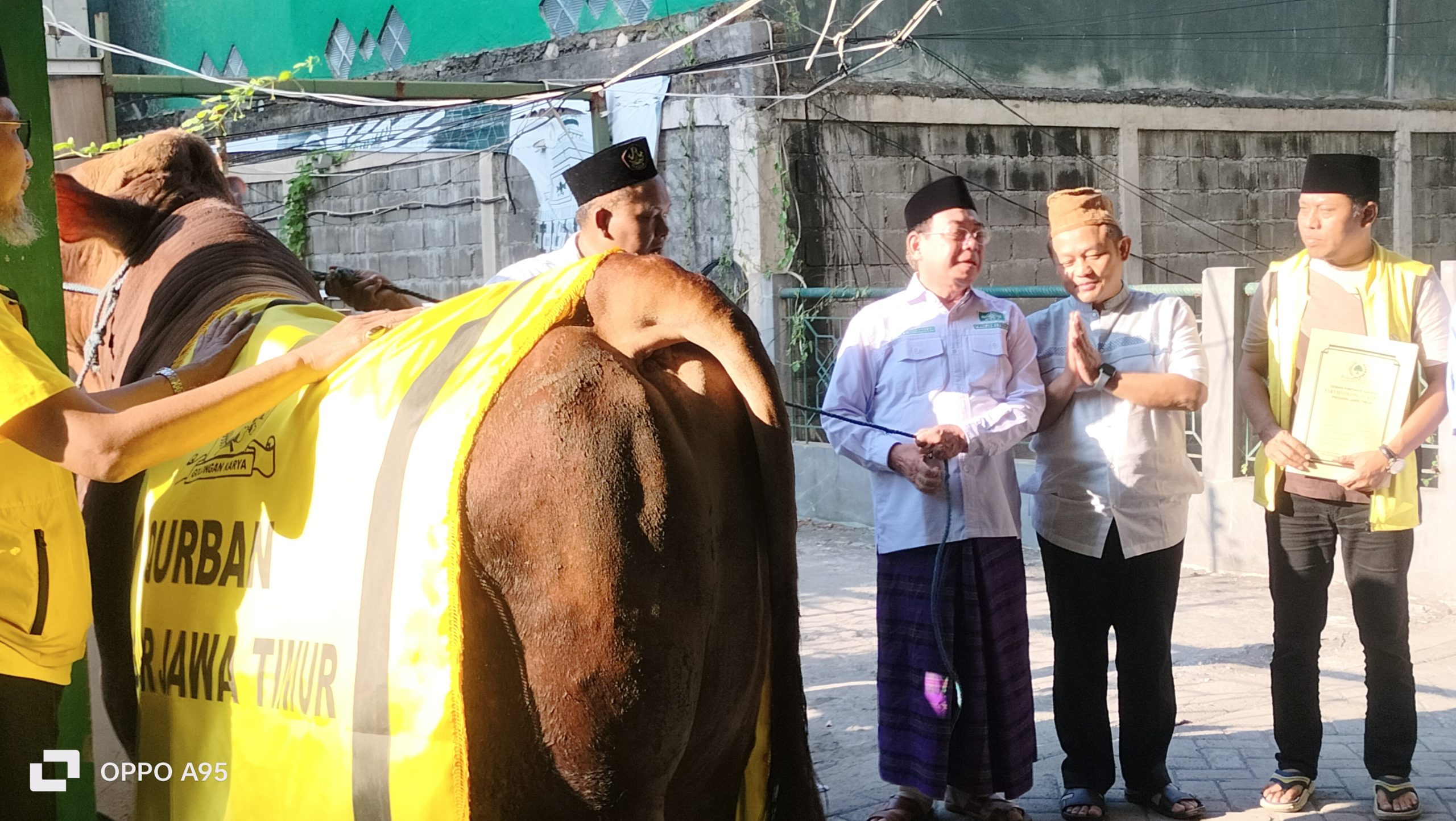 Terima Sapi dari Khofifah, Golkar Jatim Kirim Hewan Kurban ke PWNU dan PWM