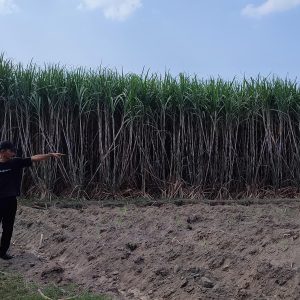 Oknum Pemdes Blabak Kab. Kediri Diduga Palsukan Dokumen Tanah dan Tanda Tangan