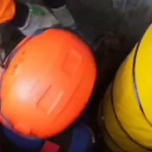 Damkar Selamatkan Kambing ‘Terjebak Ranjau’, Terjerumus Masuk Sumur 17 Meter di Ngawi
