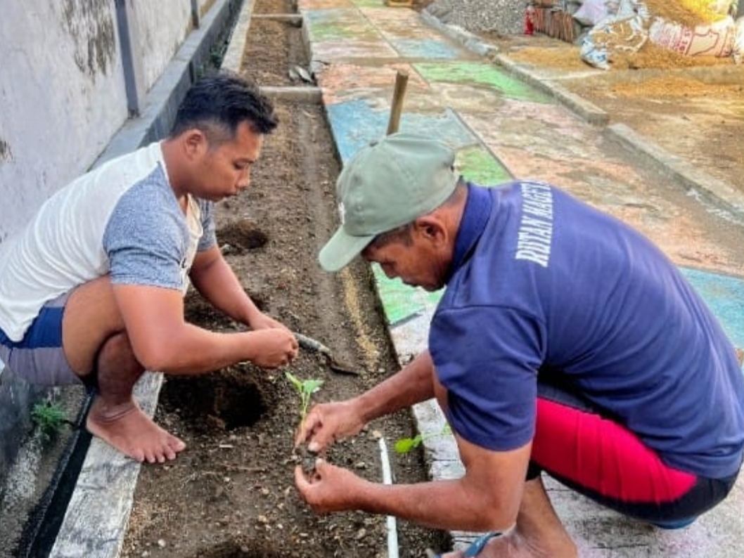 Napi Rutan Magetan Tetap Produktif di Hari Libur dengan Menanam Sayuran