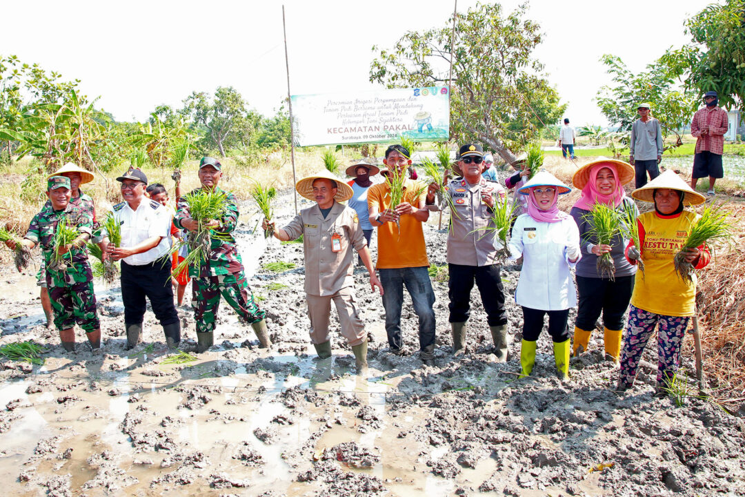 Pemkot Surabaya dan Kementan Resmikan Irigasi Pompa di Kecamatan Pakal