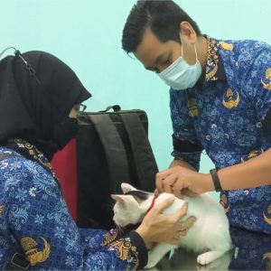 Peringati Hari Rabies : Puskeswan Kota Mojokerto Gelar Vaksinasi Rabies Gratis Peringati Hari Rabies : Puskeswan Kota Mojokerto Gelar Vaksinasi Rabies Gratis