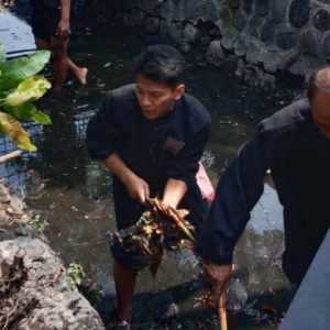 Ratusan Pendekar PSHT Donor Darah dan Bersih-bersih Kelurahan Semampir Ratusan Pendekar PSHT Donor Darah dan Bersih-bersih Kelurahan Semampir