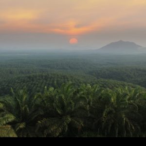 PT. AAL Akan Penuhi Panggilan Kejati Sulteng