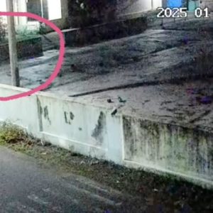 Sial, Saat Menjalankan Aksinya Tuyul di Blitar Ini Terekam Kamera CCTV Masjid Sial, Saat Menjalankan Aksinya Tuyul di Blitar Ini Terekam Kamera CCTV Masjid