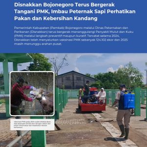 124.102 Ekor Ternak Di Bojonegoro Sudah Divaksin 124.102 Ekor Ternak Di Bojonegoro Sudah Divaksin