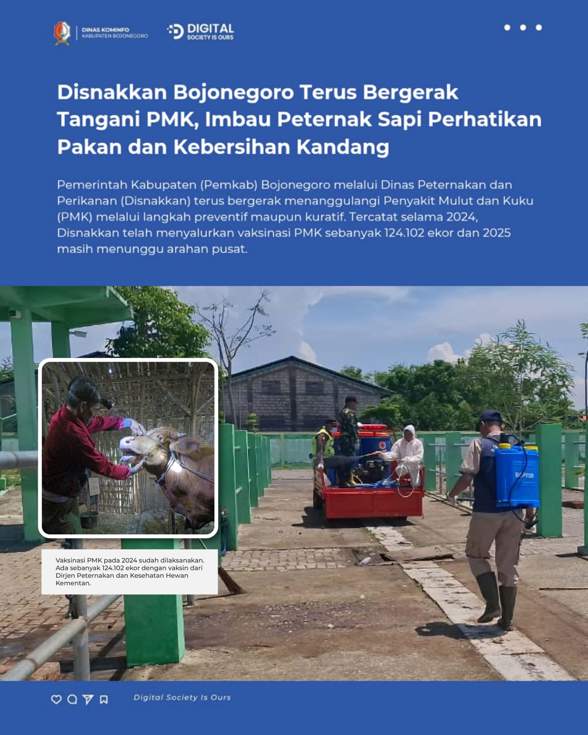 124.102 Ekor Ternak Di Bojonegoro Sudah Divaksin