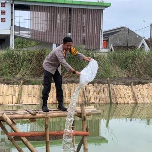 Dukung Program Ketahanan Pangan, Pemkab dan Polres Bojonegoro Tabur 10.000 Benih Ikan di Kolam Dukung Program Ketahanan Pangan, Pemkab dan Polres Bojonegoro Tabur 10.000 Benih Ikan di Kolam