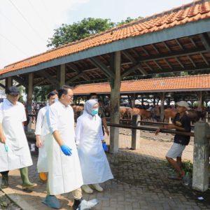 Tetap Antisipasi Wabah PMK, Pastikan Ternak Jatim Layak Jual