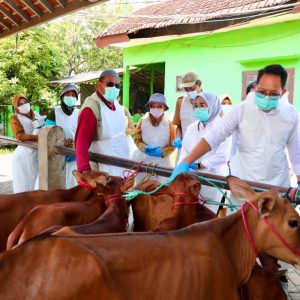 Jatim Status Darurat PMK, Pj. Gubernur Imbau Penanganan Dilakukan Cepat dan Holistik Jatim Status Darurat PMK, Pj. Gubernur Imbau Penanganan Dilakukan Cepat dan Holistik