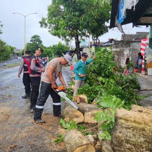 Dampak Bencana Angin, Polisi bersama Instansi Lainnya Atasi Pohon Tumbang