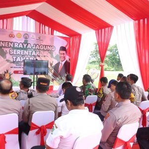 Polresta Banyuwangi Giat Panen Jagung Serentak di SMA Negeri 2 Taruna Bhayangkara Polresta Banyuwangi Giat Panen Jagung Serentak di SMA Negeri 2 Taruna Bhayangkara