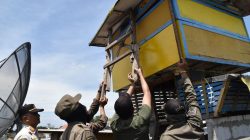 Satpol PP Surabaya Gencar Tertibkan Bekupon