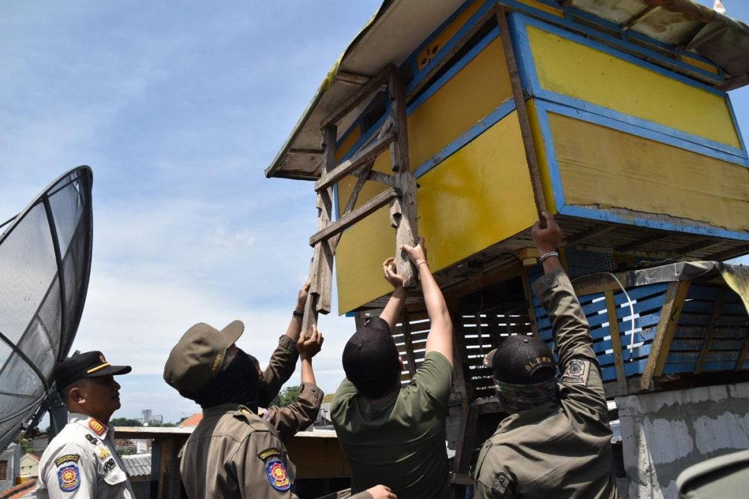 Satpol PP Surabaya Gencar Tertibkan Bekupon