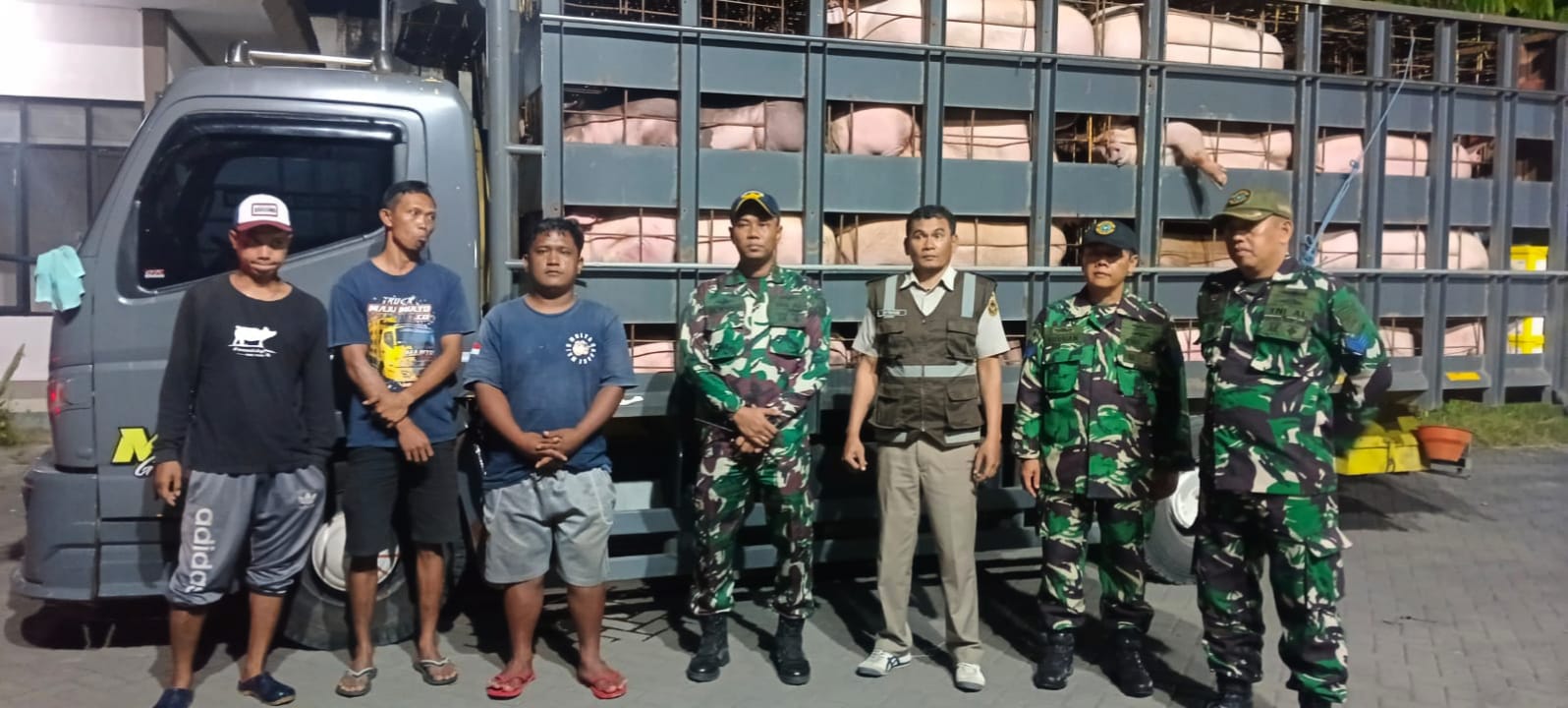 TNI-Polri, dan Karantina Banyuwangi Gagalkan Pengiriman 66 Ekor Babi dari Bali