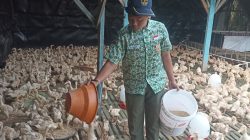 Berawal Dari Potongan Koran Bungkus Makanan, Siswa SMP Asal Desa Kedungringin Beji Jadi Jutawan