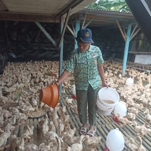 Berawal Dari Potongan Koran Bungkus Makanan, Siswa SMP Asal Desa Kedungringin Beji Jadi Jutawan Berawal Dari Potongan Koran Bungkus Makanan, Siswa SMP Asal Desa Kedungringin Beji Jadi Jutawan