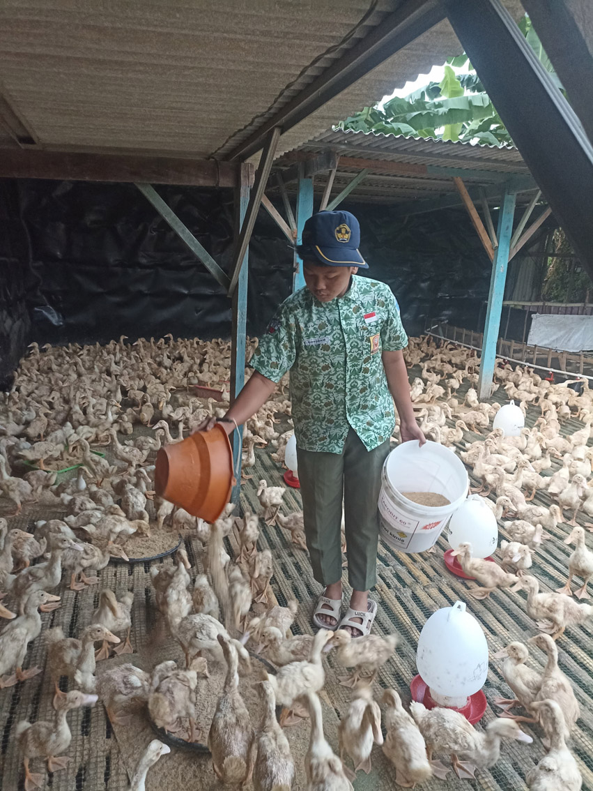 Berawal Dari Potongan Koran Bungkus Makanan, Siswa SMP Asal Desa Kedungringin Beji Jadi Jutawan