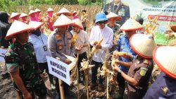 Panen Raya Jagung di Parang, Kapolres Magetan Tegaskan Komitmen Dukung Ketahanan Pangan Nasional