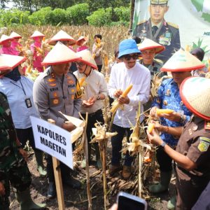 Panen Raya Jagung di Parang, Kapolres Magetan Tegaskan Komitmen Dukung Ketahanan Pangan Nasional