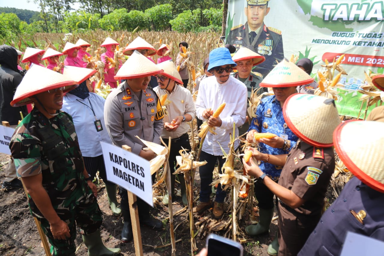 Panen Raya Jagung di Parang, Kapolres Magetan Tegaskan Komitmen Dukung Ketahanan Pangan Nasional