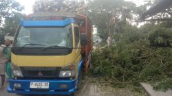 Program Wadul Gus’e di Pakai Dasar Pemotongan Kayu di Jalan Provinsi