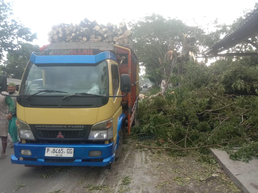 Program Wadul Gus’e di Pakai Dasar Pemotongan Kayu di Jalan Provinsi
