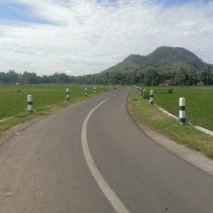 10 Korwil Kerjakan Perbaikan Jalan Berlubang di Jember