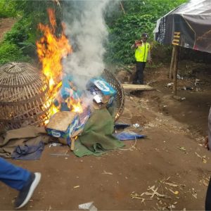 Polres Mojokerto Gerebek dan bakar Arena judi sabung Ayam di Trowulan-Mojokerto Polres Mojokerto Gerebek dan bakar Arena judi sabung Ayam di Trowulan-Mojokerto