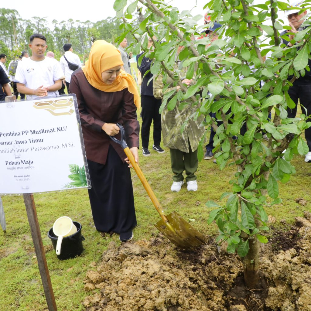 Ketua Dewan Kehormatan Muslimat NU dan Jajaran Tanam Pohon Maja di IKN 