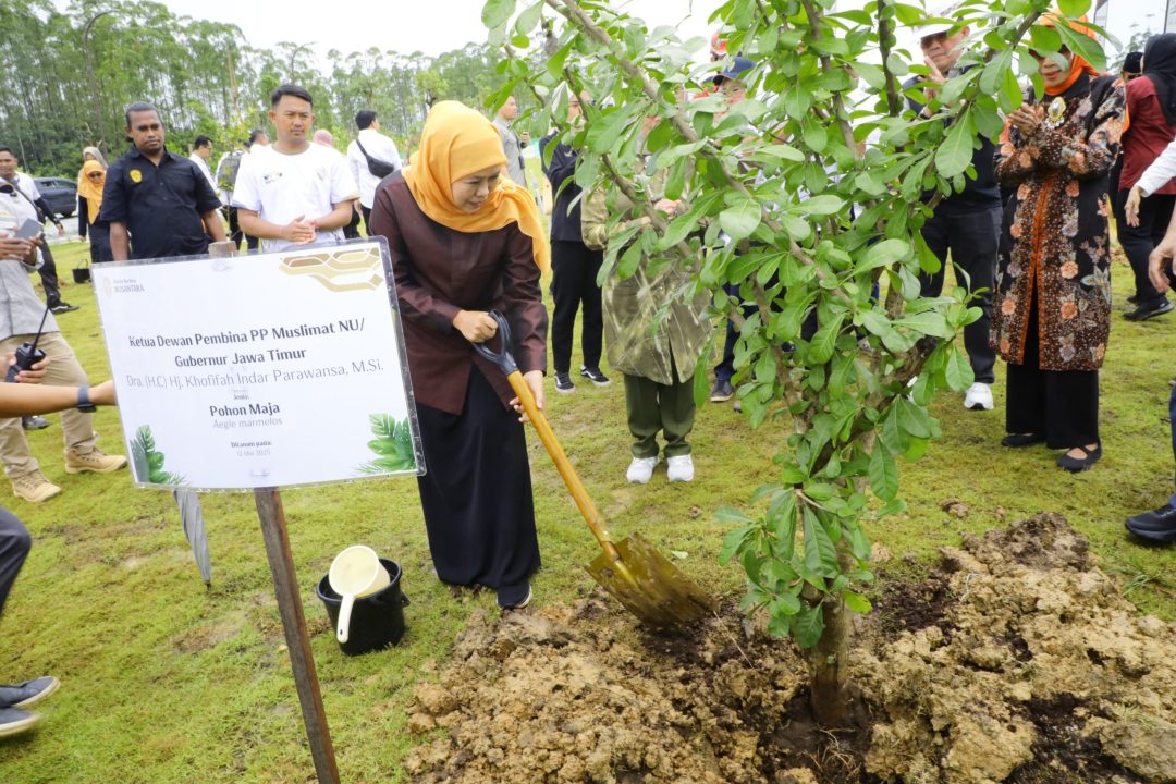 Ketua Dewan Kehormatan Muslimat NU dan Jajaran Tanam Pohon Maja di IKN 