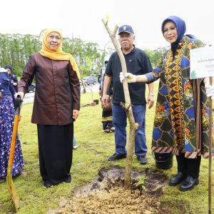 Tanam Pohon Maja di IKN, Gubernur Khofifah : Simbol Peradaban Baru Indonesia